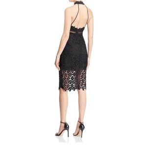Bardot Black Foliage Lace Illusion Halter Dress S